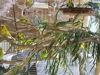 DSCF3718.jpg