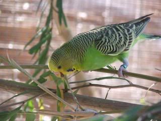 DSCF3719.jpg