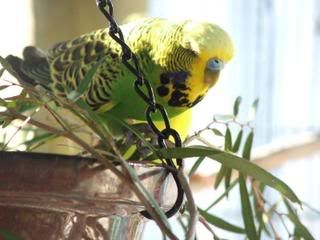 DSCF3721.jpg
