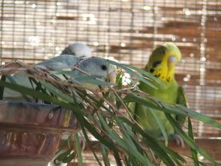 DSCF3722.jpg