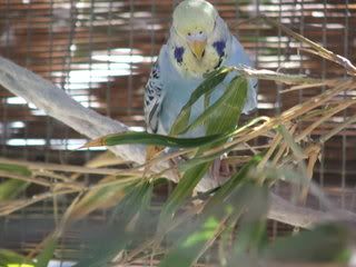 DSCF3723.jpg