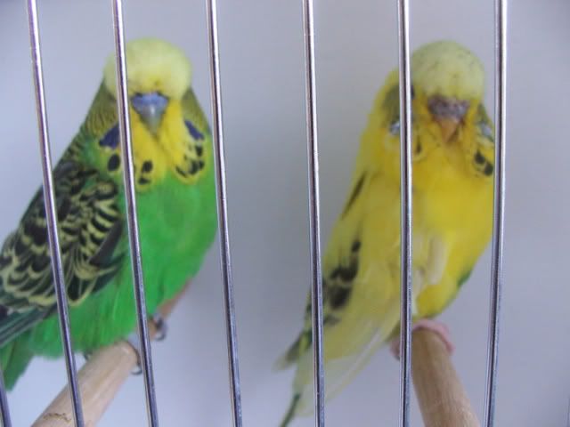 DSCF3748.jpg