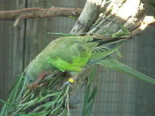 DSCF3762.jpg