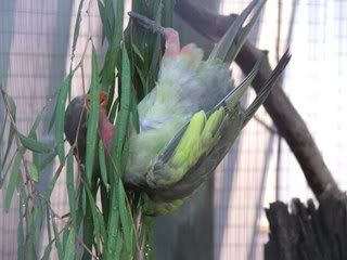 DSCF3767.jpg
