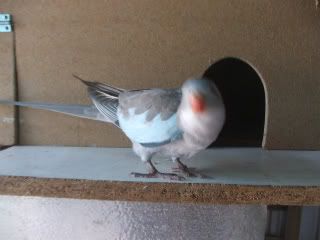 DSCF3770.jpg