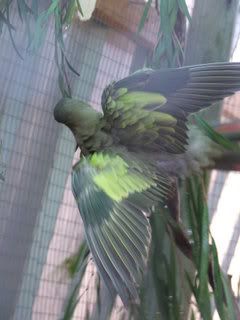 DSCF3781.jpg