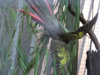 DSCF3788.jpg