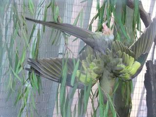 DSCF3790.jpg