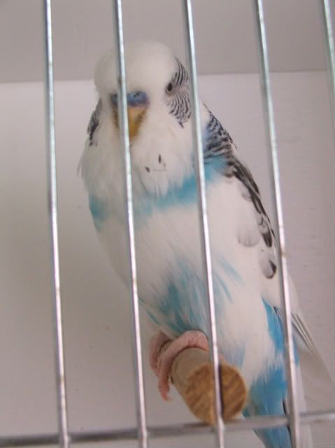 DSCF3860.jpg