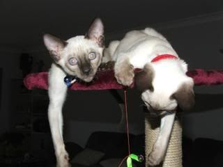 DSCF3880.jpg