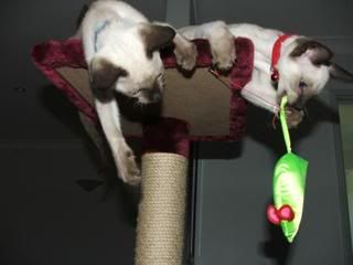 DSCF3887.jpg