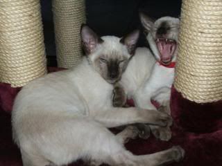 DSCF3984.jpg