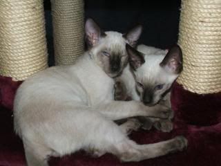 DSCF3985.jpg