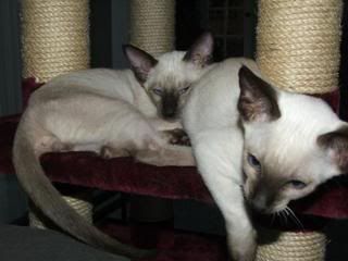 DSCF3988.jpg