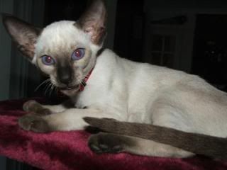DSCF3992.jpg