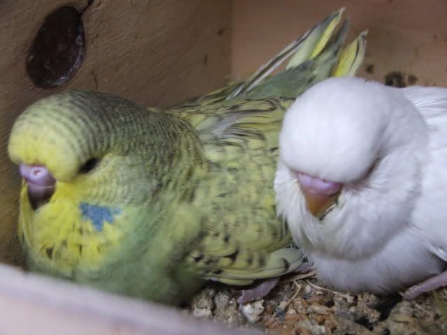 DSCF3995.jpg