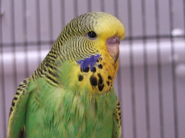 DSCF4004.jpg