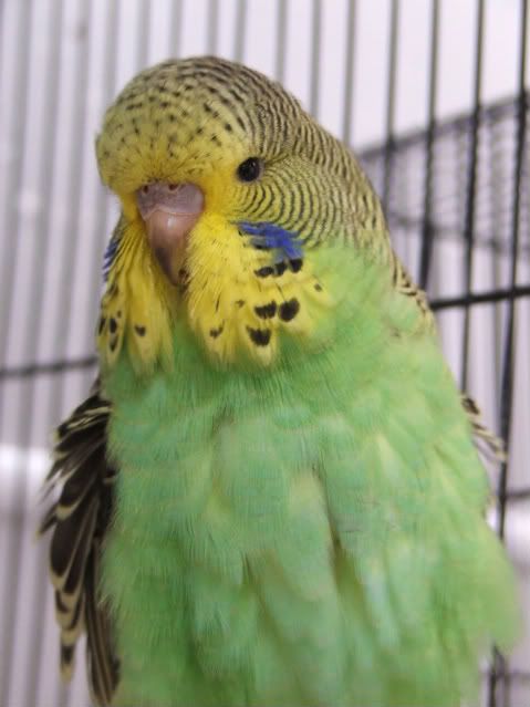 DSCF4007.jpg