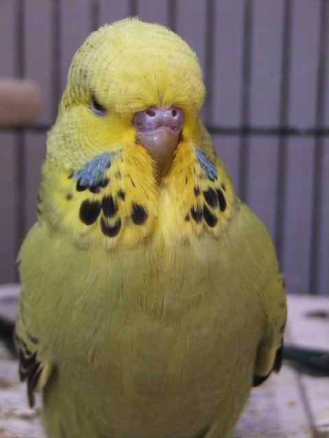 DSCF4008.jpg