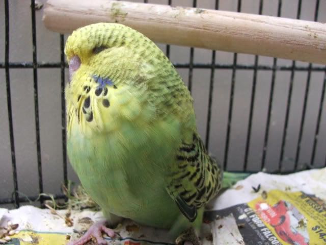 DSCF4034.jpg