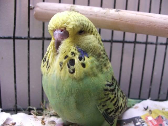 DSCF4035.jpg