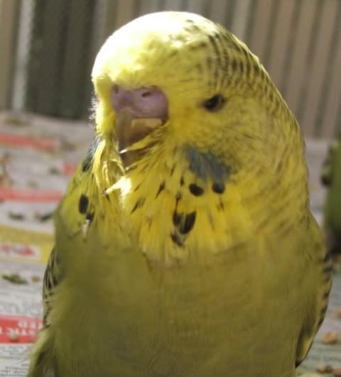 DSCF4233.jpg