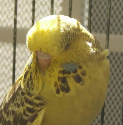 DSCF4245.jpg