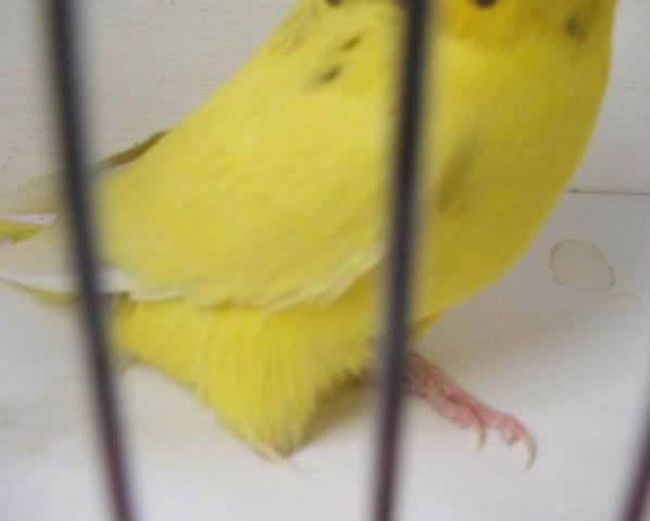 DSCF4354.jpg