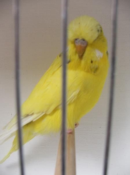 DSCF4364.jpg