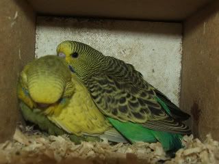 DSCF4405.jpg