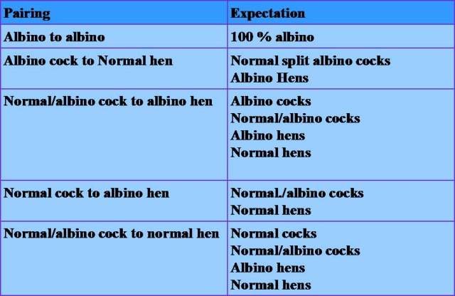 breeding1.jpg