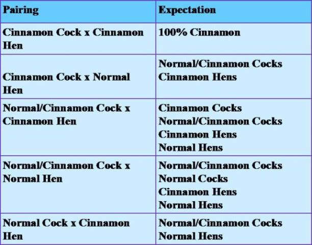 breeding2.jpg