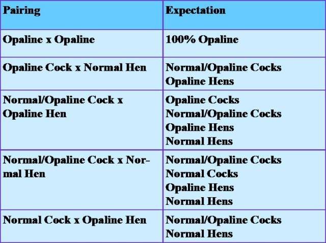 breeding7.jpg