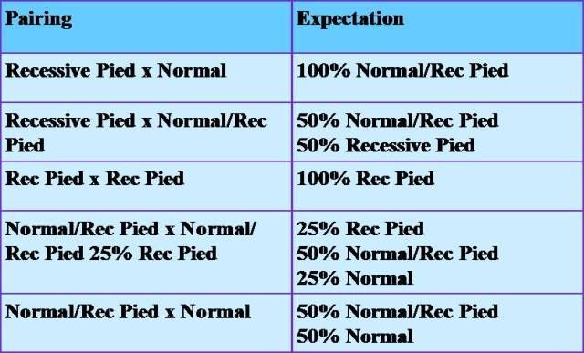 breeding8.jpg