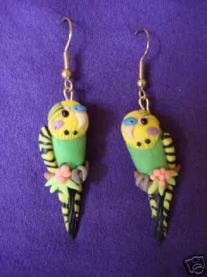 budgieears.jpg