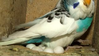 e3f4766d.jpg