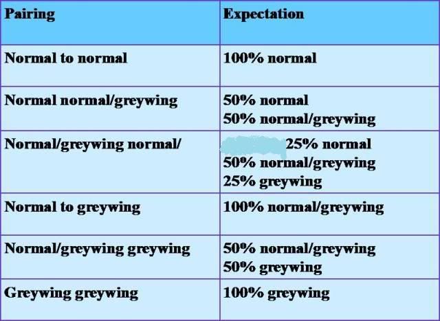 breeding12.jpg