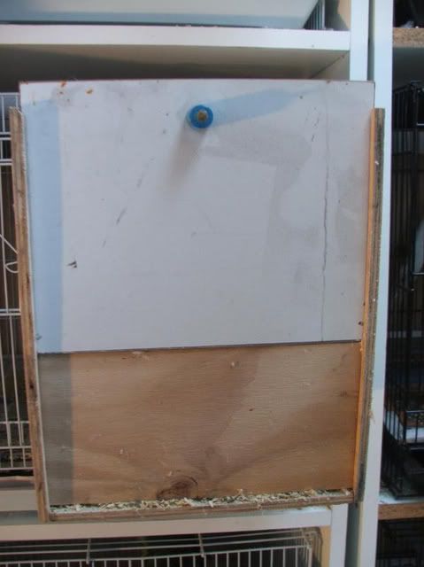 DSCF2414.jpg