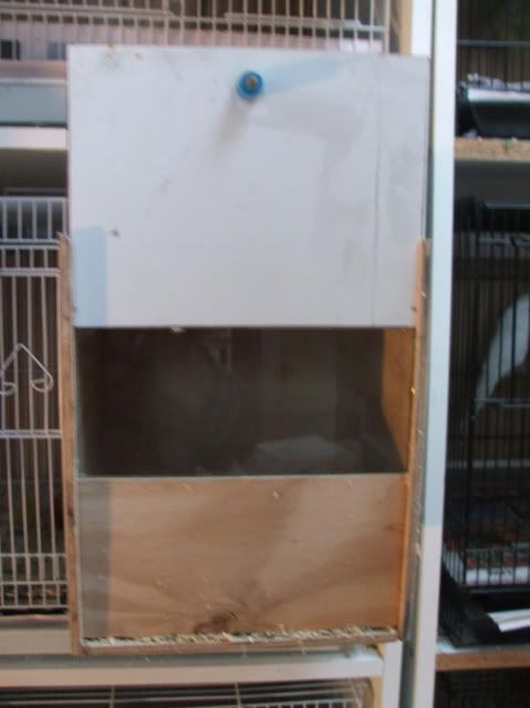 DSCF2415.jpg
