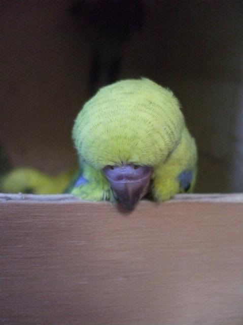 jan09011.jpg
