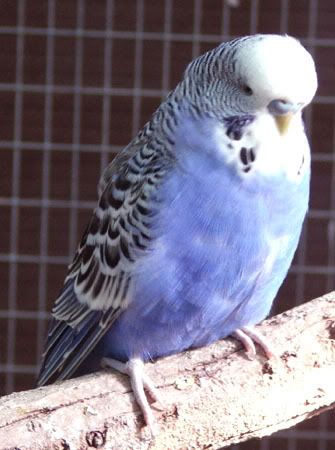 june07103.jpg
