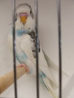 june0738.jpg
