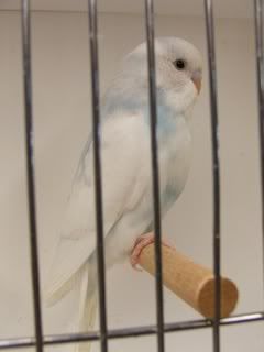 june0753.jpg