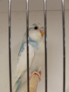 june0754.jpg