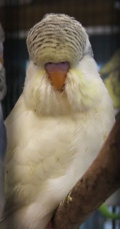 AAAAAAAAAAAAAAAAAAA095.jpg