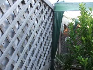 AUGUST07122.jpg