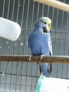 OCT07097.jpg