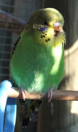 OCT07209.jpg