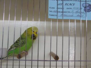 OCT07328-1.jpg