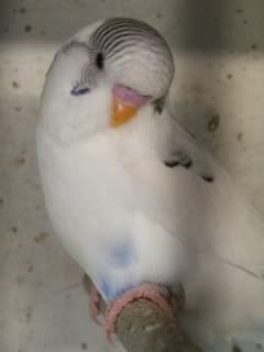 OCT07485.jpg